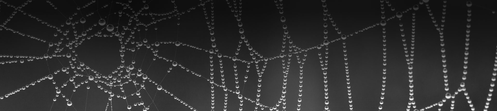 SEM (Search Engine Marketing)